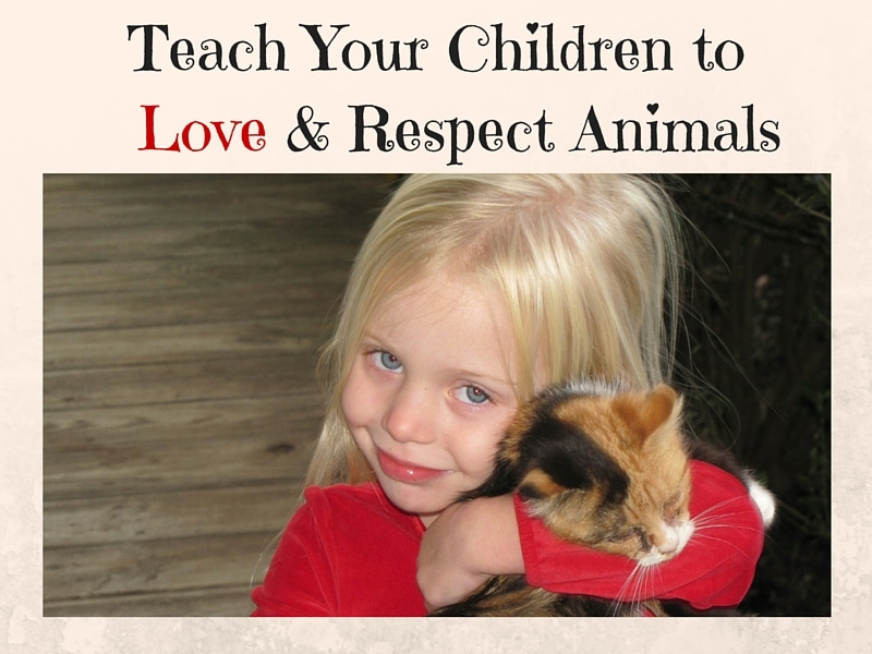 Teach Your Children to love and respect animals