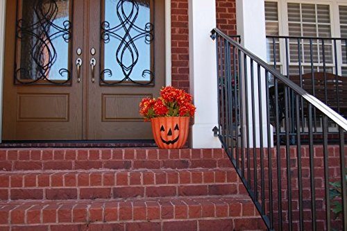 Pumpkin Planter for outdoor or indoor - Use it for planting your favorite fall flowers and decorating