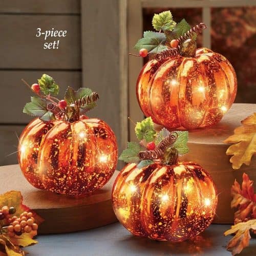 Harvest Pumpkin Set of 3 with LED lights - Fall Centerpiece